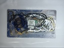 Juego Empaquetadura Actyon #2