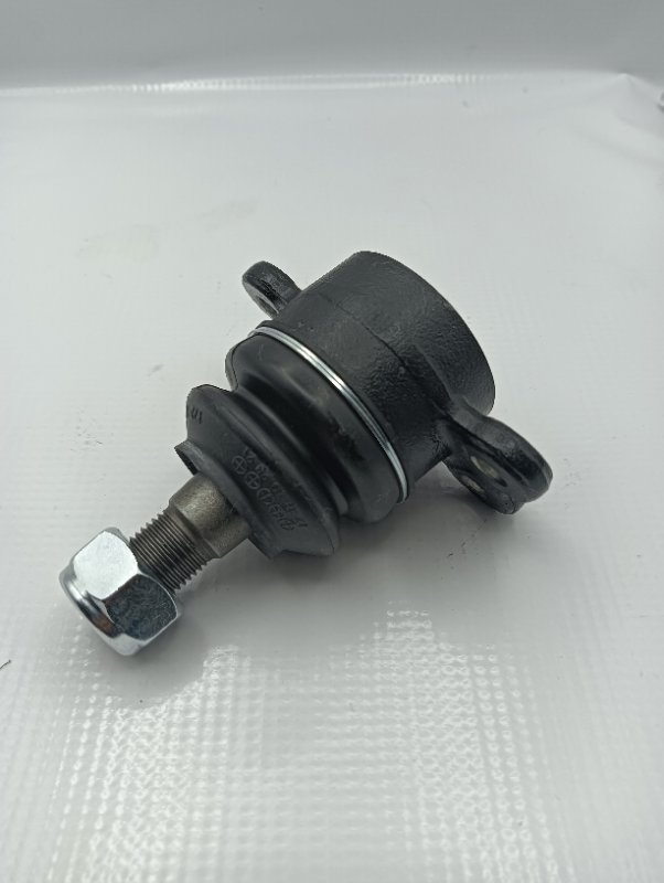 Rotula Superior Musso #2