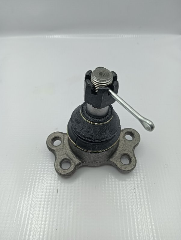 Rotula Superior Musso #1