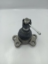 Rotula Superior Musso #1
