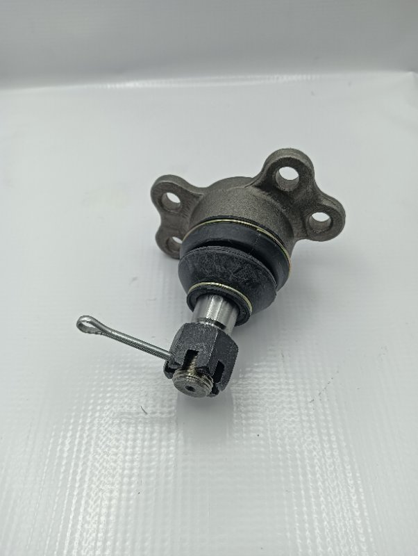Rotula Superior Musso #2