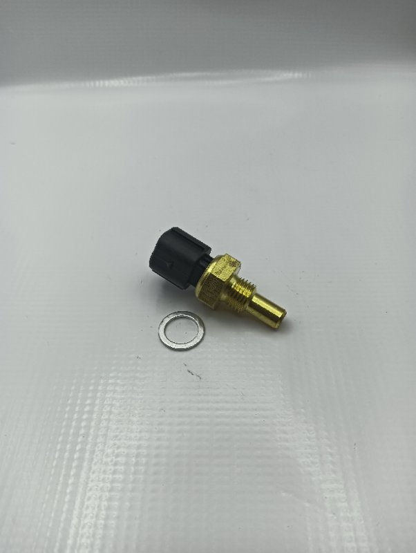 Sensor Temperatura Actyon / New Actyon #1