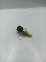 Sensor Temperatura Actyon / New Actyon #1