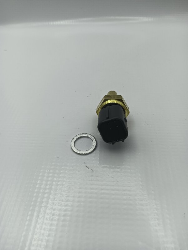 Sensor Temperatura Actyon / New Actyon #2