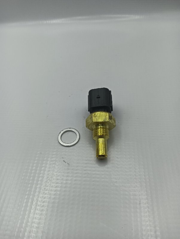 Sensor Temperatura Actyon / New Actyon #3