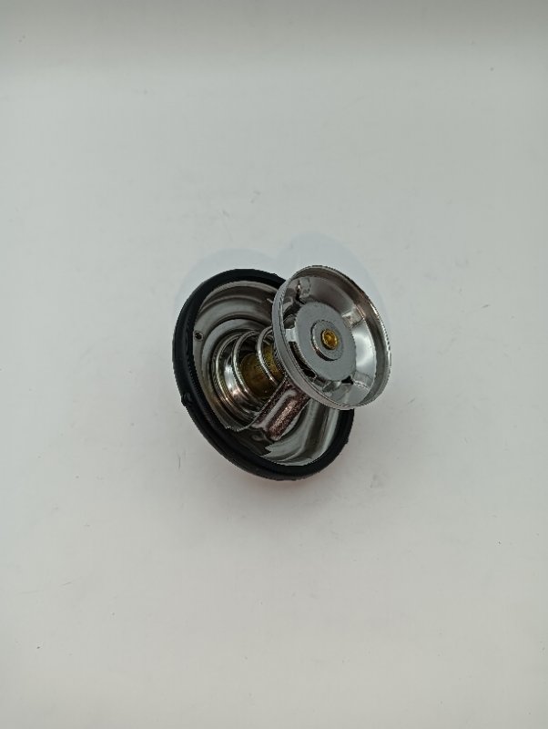 Termostato Actyon #2