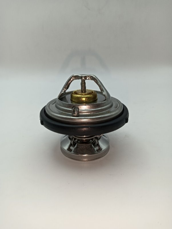 Termostato Actyon