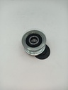 Polea Alternador New Actyon
