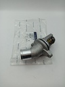 Termostato Tivoli 1.6 Benc