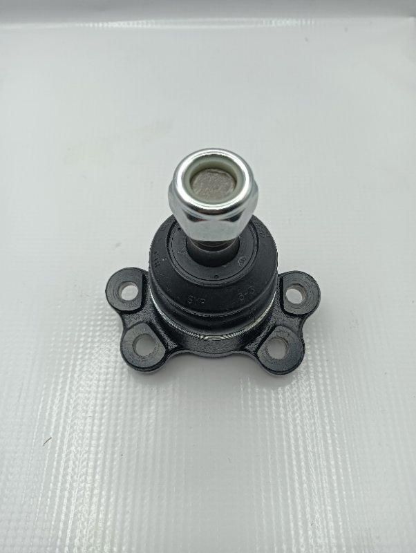 Rotula Superior Musso