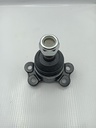 Rotula Superior Musso