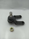 Rotula Inferior Musso 2.9 / K0Rando 2.9